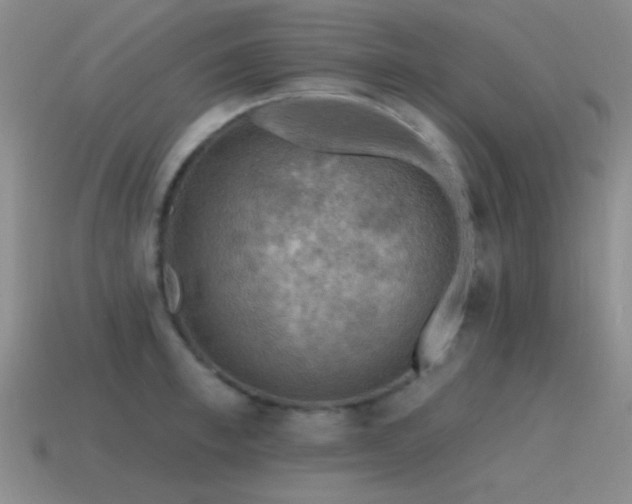 X0000115490997200911061303