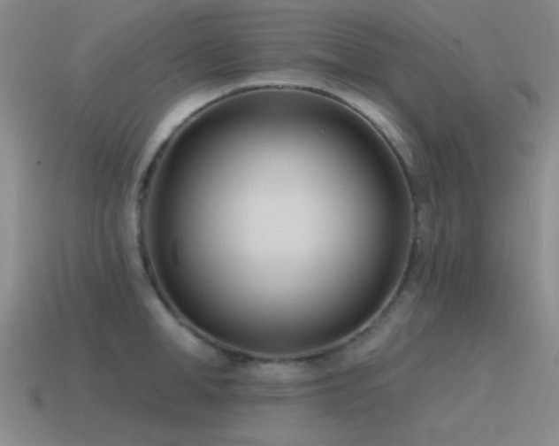 X0000115490998200911061303