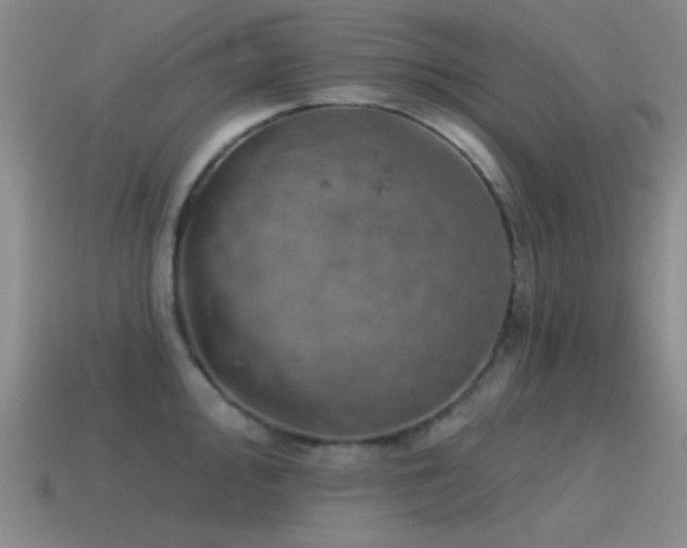 X0000115491000200911061303