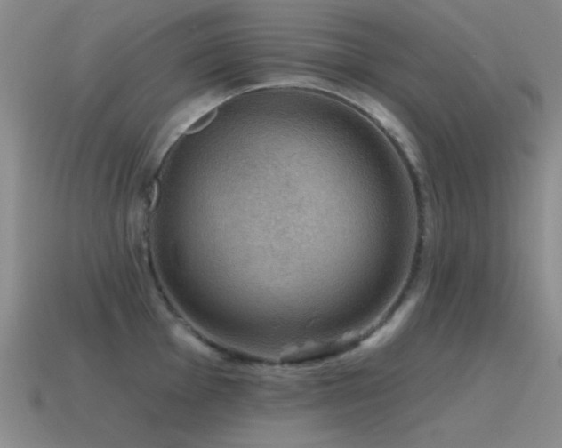 X0000115491001200911061303