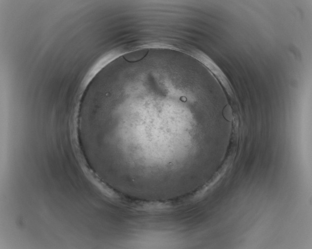X0000115491002200911061303
