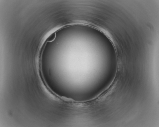 X0000115491003200911061303