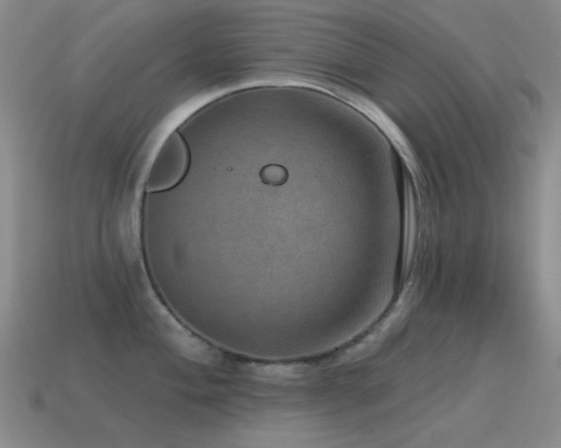 X0000115491004200911061303