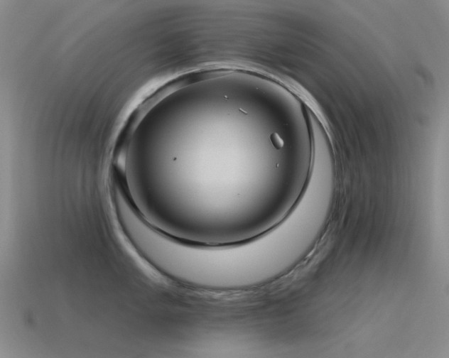 X0000115491005200911061303