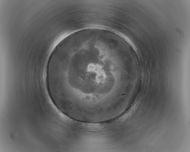 X0000115491007200911061303