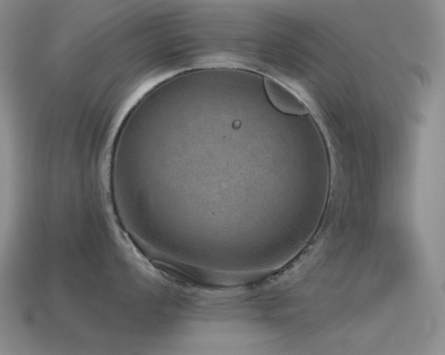X0000115491008200911061303