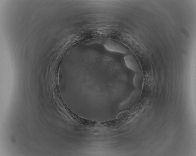 X0000115491009200911061302