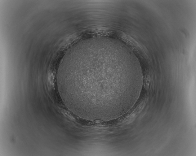 X0000115491010200911061302