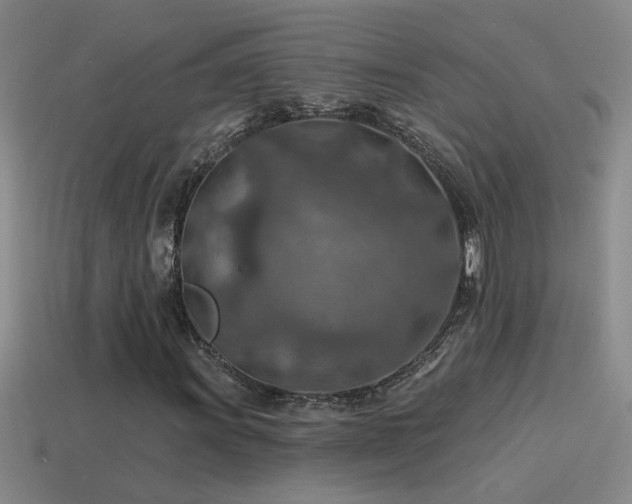 X0000115491011200911061302