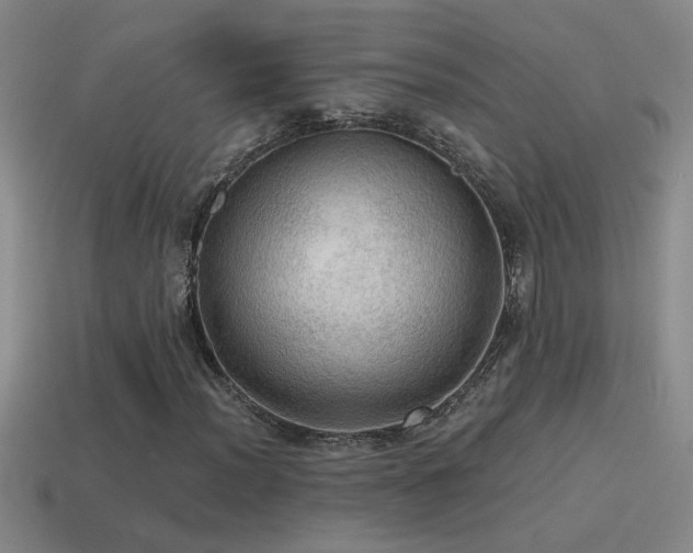 X0000115491012200911061302