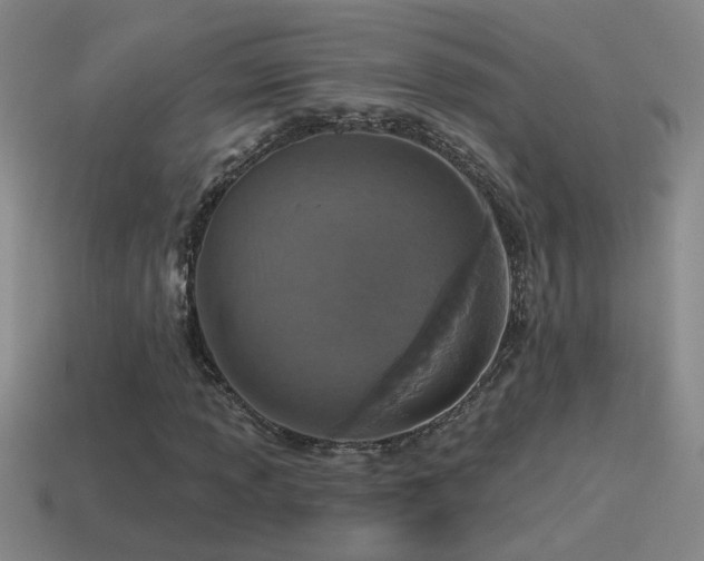 X0000115491013200911061302