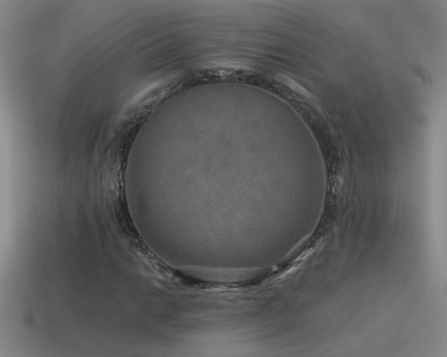 X0000115491014200911061302