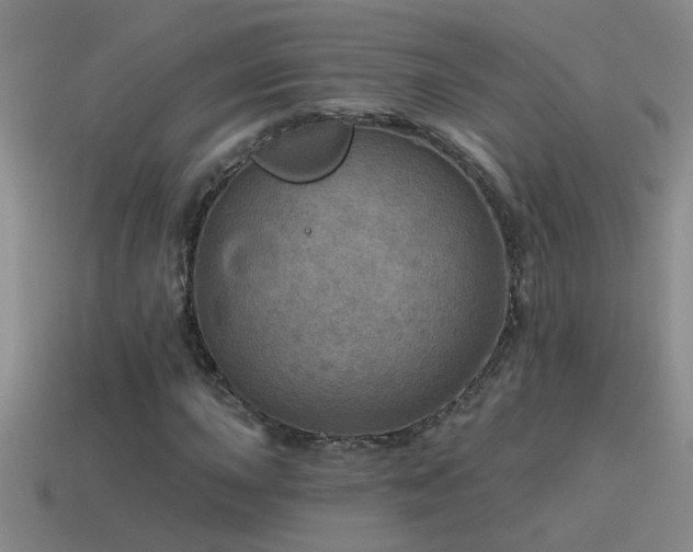 X0000115491015200911061302