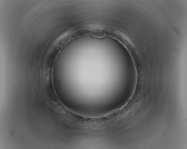 X0000115491016200911061302