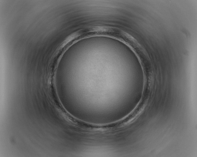 X0000115491017200911061302