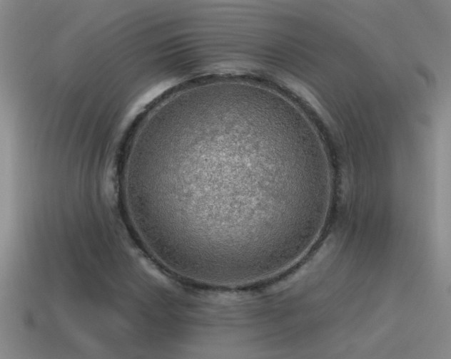 X0000115491018200911061302