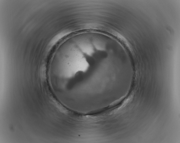 X0000115491019200911061302