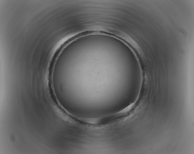 X0000115491020200911061302