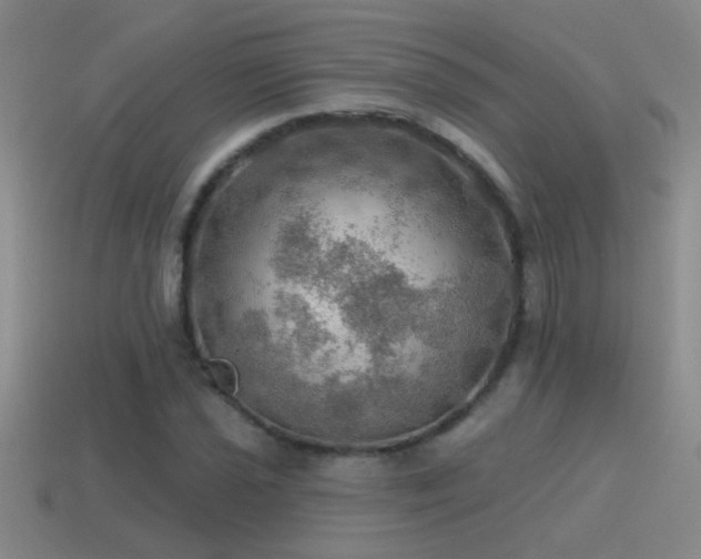 X0000115491021200911061302