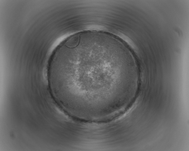 X0000115491022200911061302