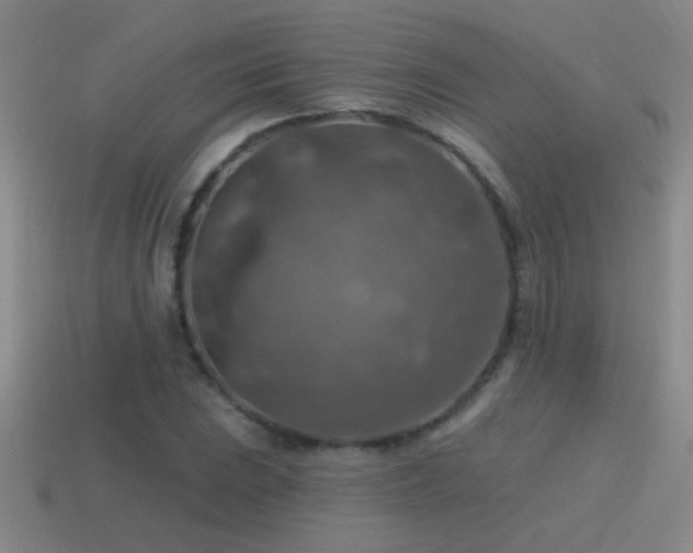 X0000115491023200911061302