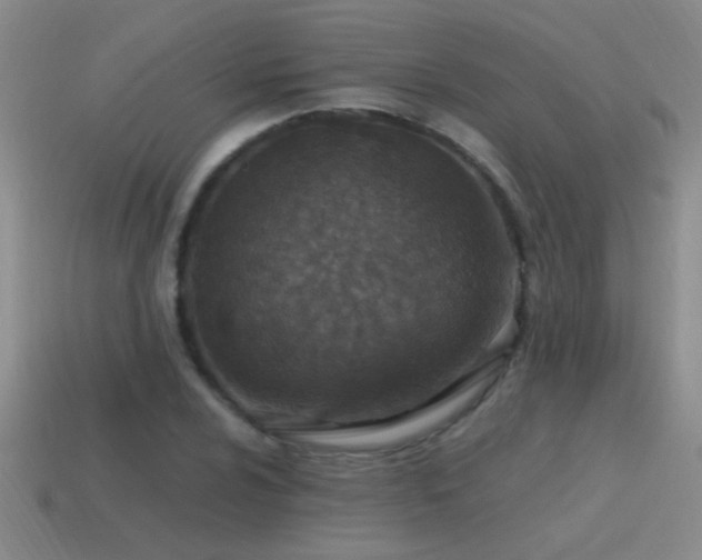 X0000115491024200911061302