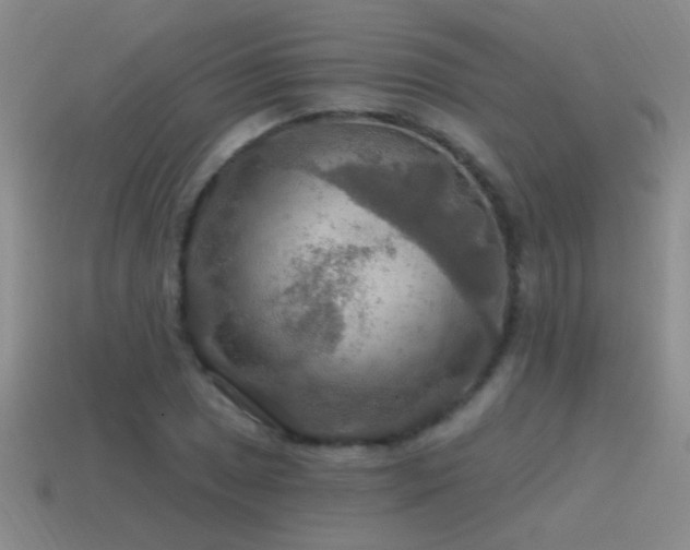 X0000115491025200911061302