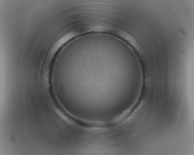 X0000115491026200911061302