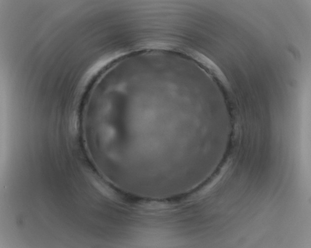 X0000115491027200911061302