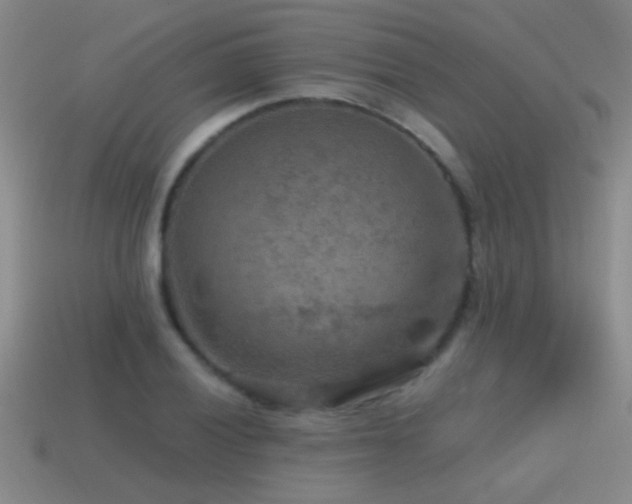 X0000115491028200911061302