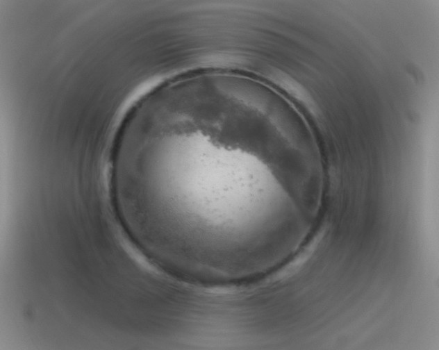X0000115491029200911061302