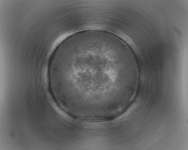 X0000115491030200911061302