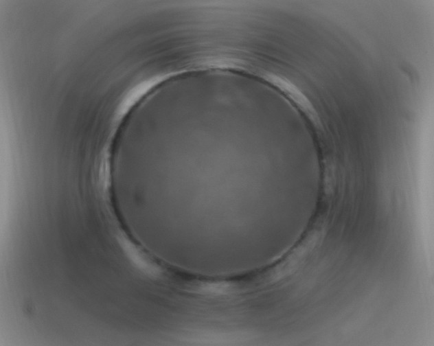 X0000115491031200911061302
