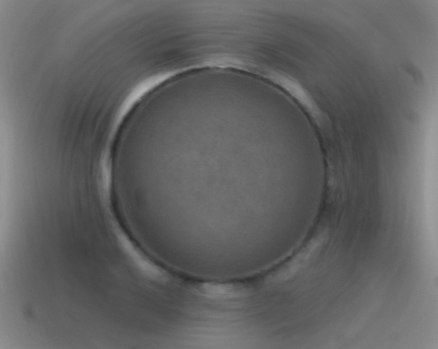 X0000115491032200911061303
