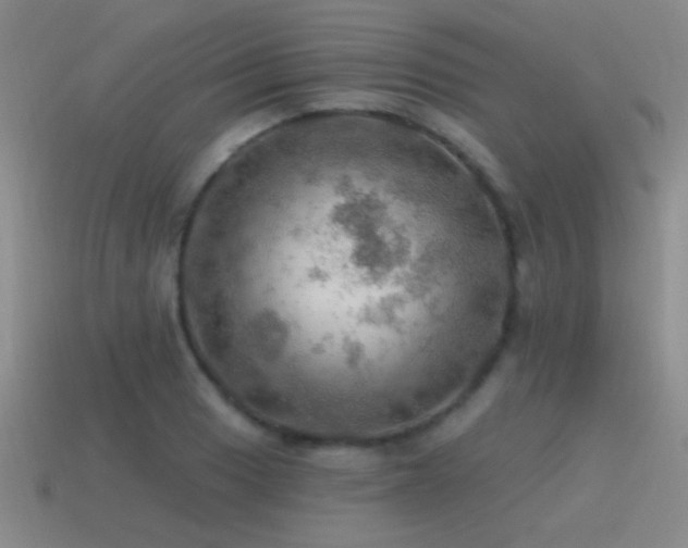 X0000115491033200911061303