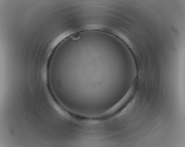 X0000115491034200911061303