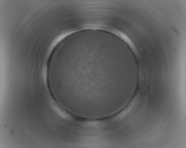 X0000115491035200911061303