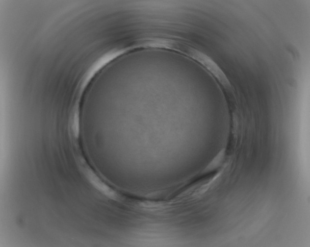 X0000115491036200911061303