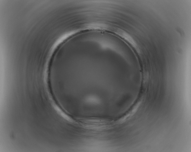 X0000115491037200911061303
