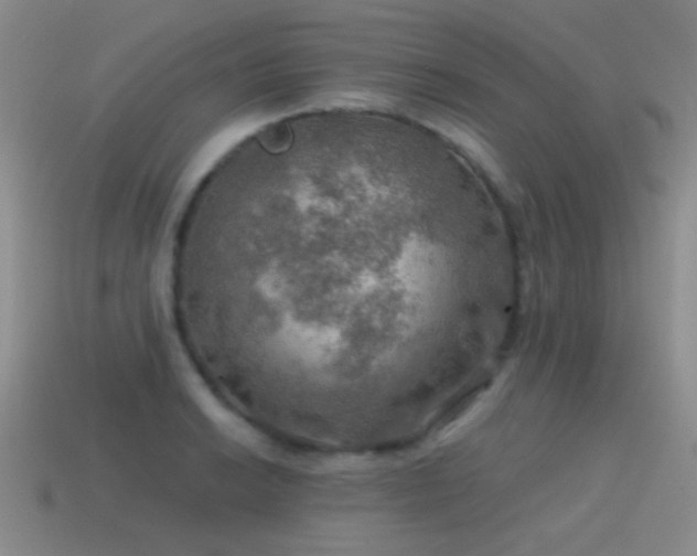 X0000115491038200911061303