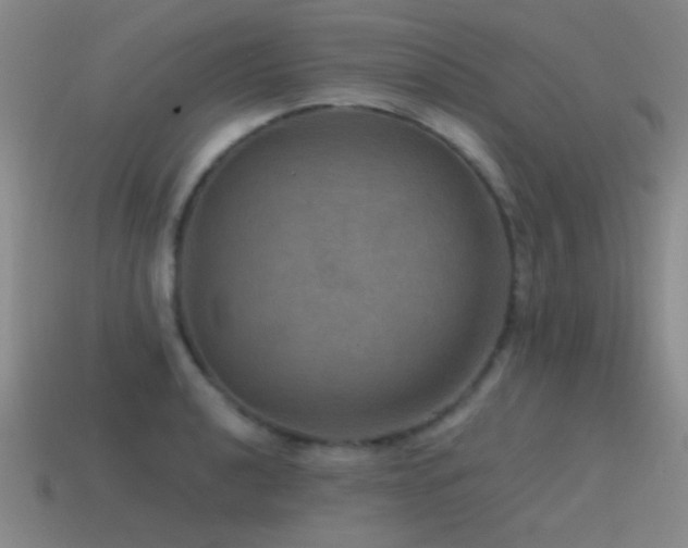 X0000115491040200911061303