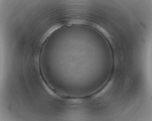 X0000115491041200911061303