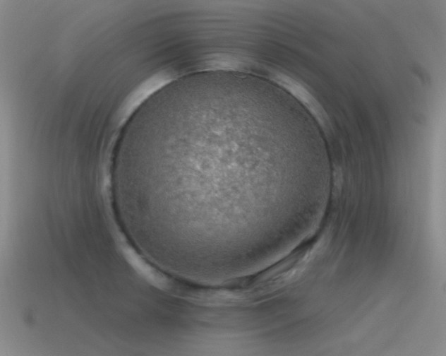 X0000115491042200911061303