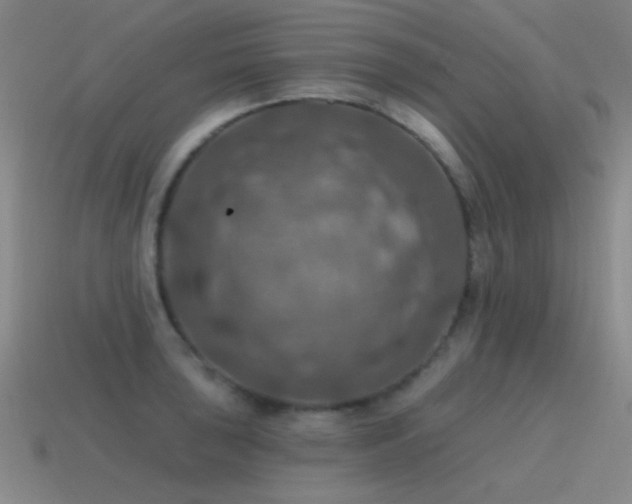 X0000115491043200911061303