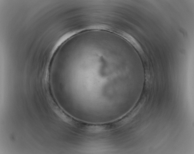X0000115491044200911061303
