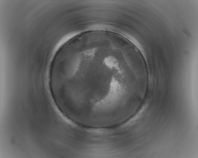 X0000115491045200911061303
