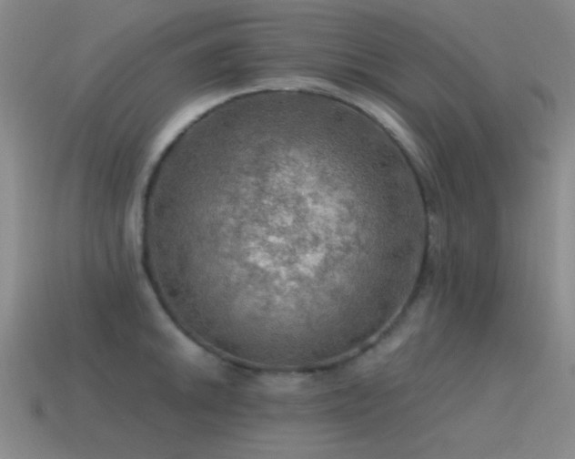 X0000115491046200911061303