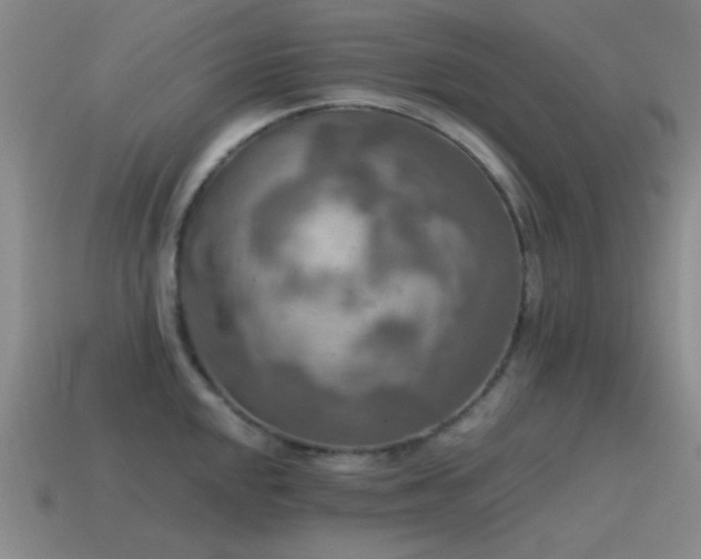 X0000115491048200911061303