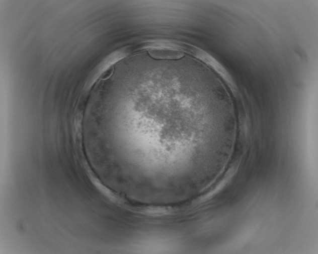 X0000115491049200911061303