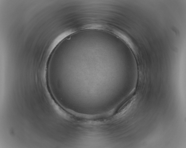 X0000115491050200911061303